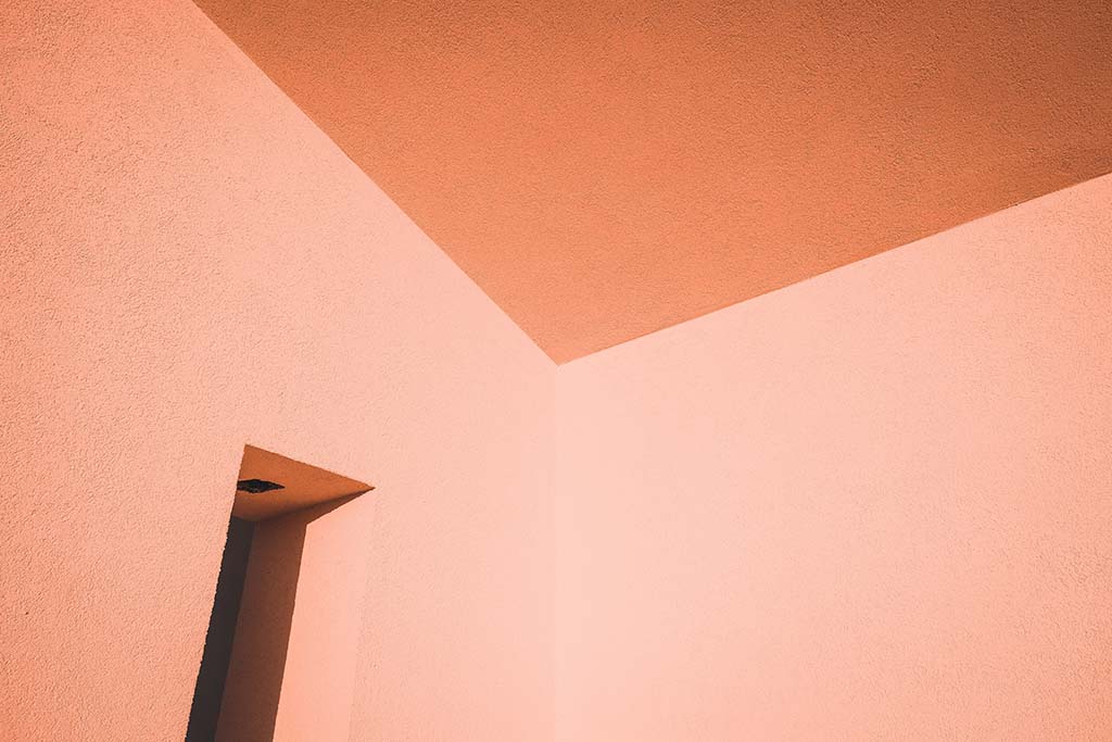 Building Trust